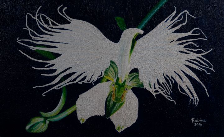 Egret Orchid - Rubine ArtWorks