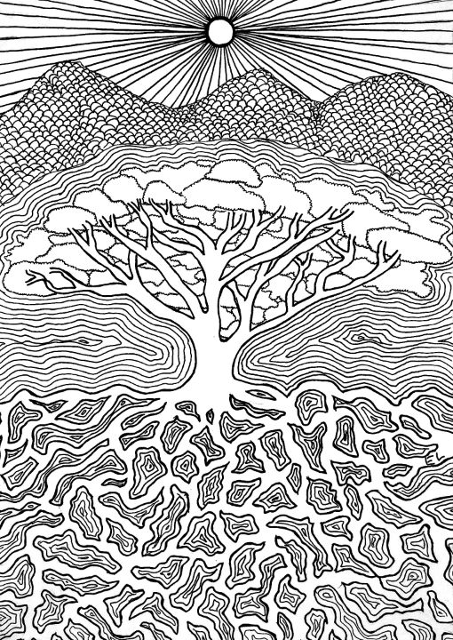 acacia tree coloring page