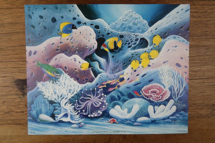 UNDERWATER LANDSCAPE AN 1234 - Miriam Ecker Art Collection