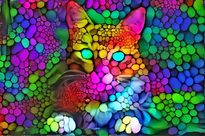 Sweet candy cat - ACR Victoria Magic