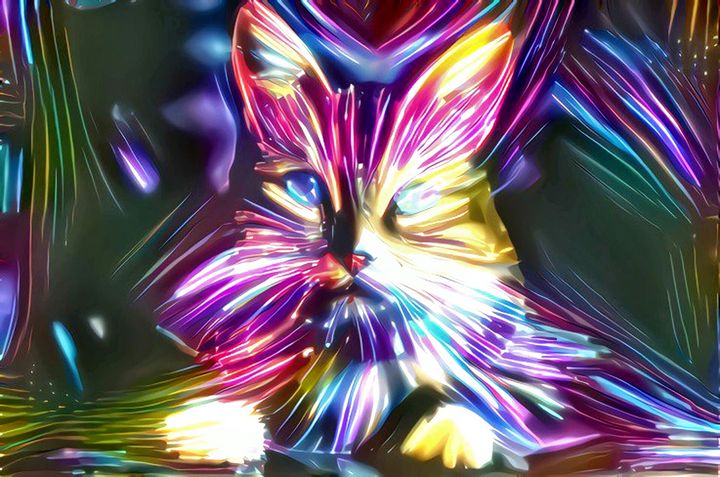 Magical Cat Macavity - ACR Victoria Magic