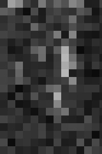 Fine Art Nude- Nude & Trees Series - Fine Art Photography - Photography