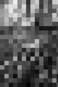 Fine Art Nude- Nude & Trees Series - Fine Art Photography - Photography