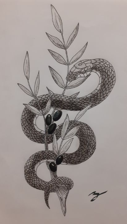 Buy Snakes, Reptiles & Amphibians, Animals, Birds, & Fish, Drawings ...