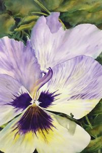 Pansy Extrovert - MB Watercolors