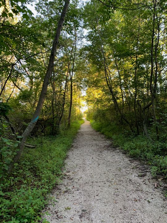 Into the Light - Morgan's Photography