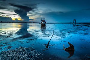 Wings of sea - Vietnam beauty landscape