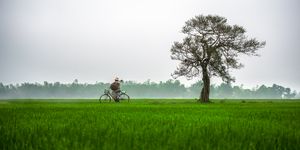 Hue Rural