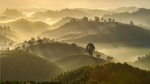 B'Lao - Vietnam beauty landscape
