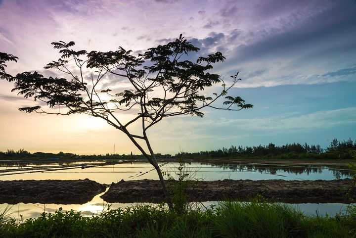 Sunrise on salt field - Vietnam beauty landscape
