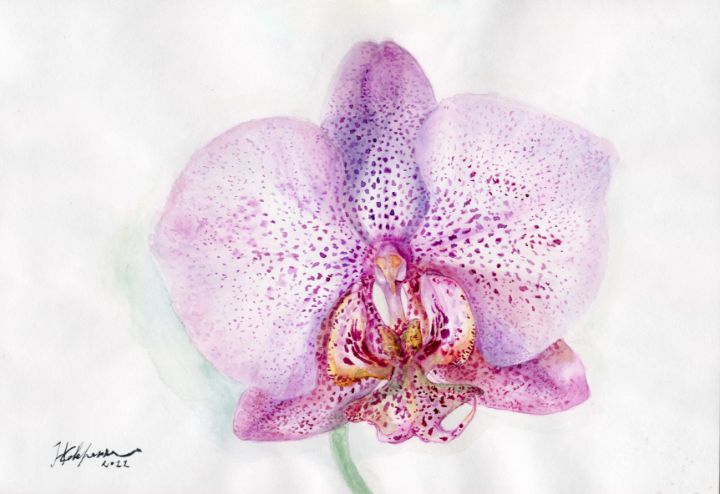 Orchid botanical original watercolor - Cozy Art - Paintings & Prints ...