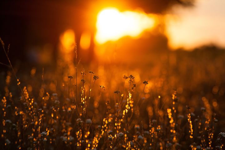 Sunset light - Anton Popov