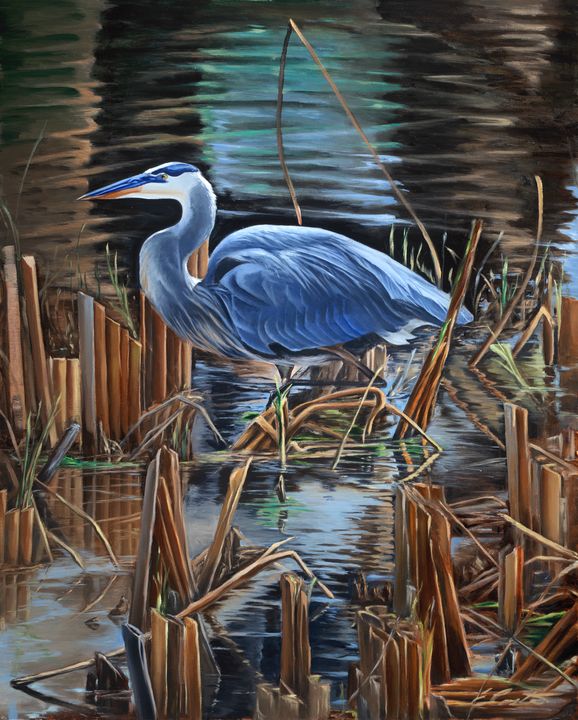 Great Blue Heron - Edward Coster