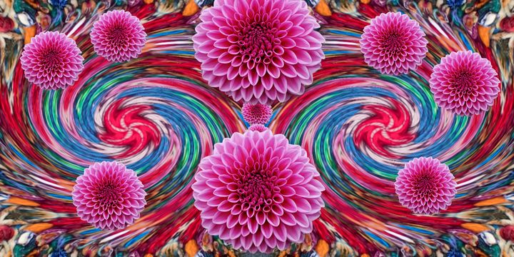 Floral Spin Contemporary - Karen Colville Nature Art
