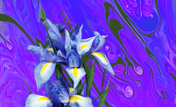 Blue Orchid Abstract - Karen Colville Nature Art
