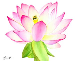 Bee in Lotus Flower