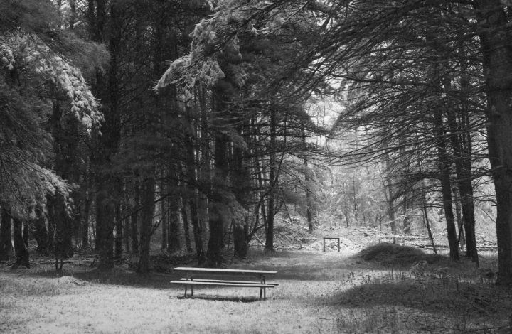 Picnic Bench in May Snowstorm (OP) - StephenJSepan