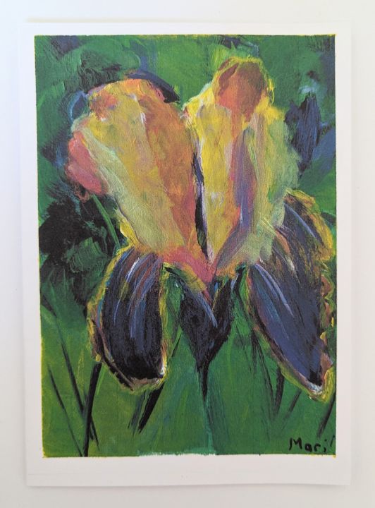 Peach and purple iris - Mari Paintings - Paintings & Prints, Flowers ...