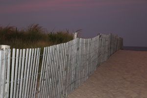 Fence on the Dunes