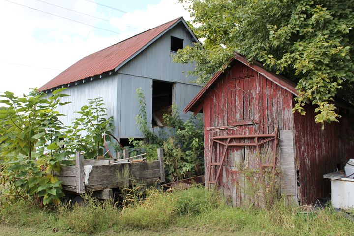 Old Delaware Barns Joyce Lapp Photography Landscapes Nature