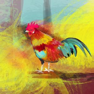 The cock in a colourful world
