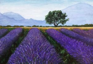 Rows of Lavender - Mary Caskey