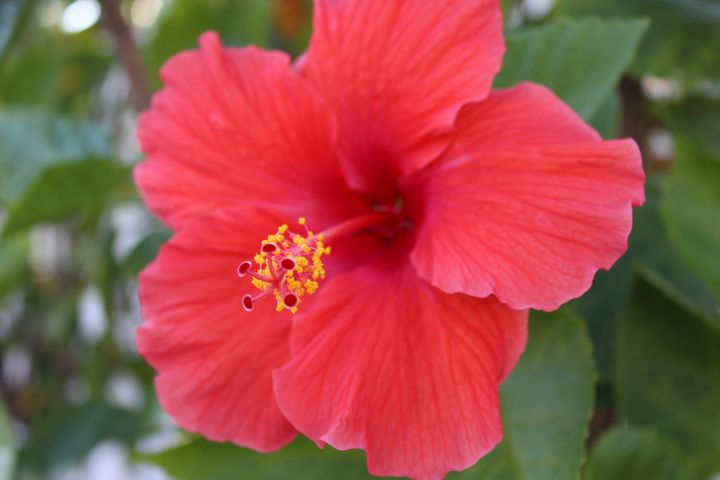 Luis Falcon Gallery Photography