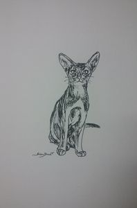Original Cat Pen and Ink Drawing