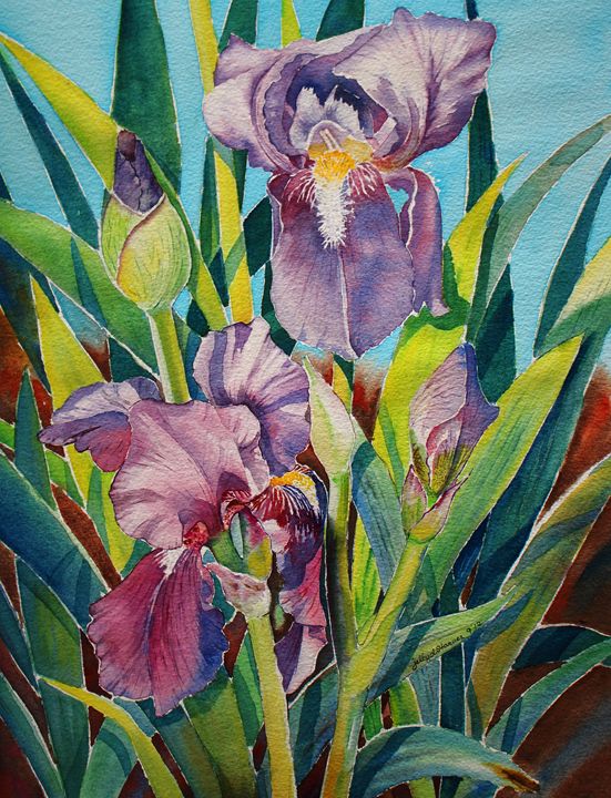 Irish Lily II - Jelly's Arts - Paintings & Prints, Flowers, Plants ...