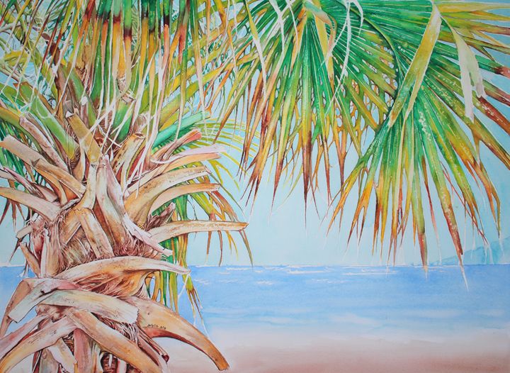 Palm Tree Mexican Palm Tree Jelly's Arts Paintings & Prints