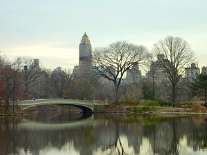 One Fall Day In Central Park