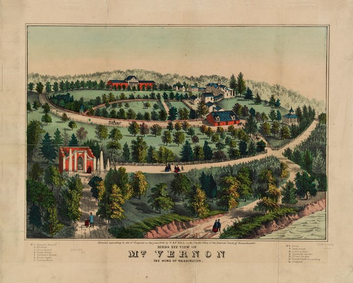 Mt. Vernon, Virginia (1859) - Yvonne