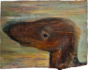 Dachshund