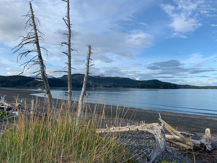 Homer Alaska beach - JM Sights - Photography, Landscapes & Nature ...