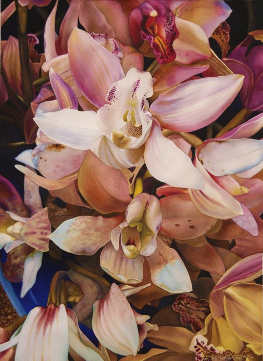 Orchids-Watercolor 55 x 75 cm- - Robert C. Murray II