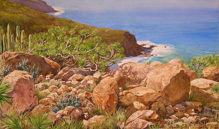 La costa de Canarias - Robert C. Murray II