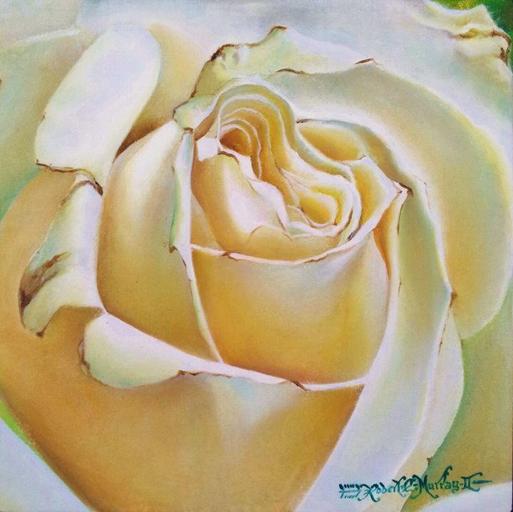 White Rose - Robert C. Murray II