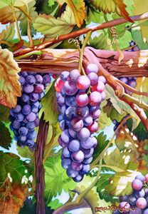 Ripening Grapes - Robert C. Murray II
