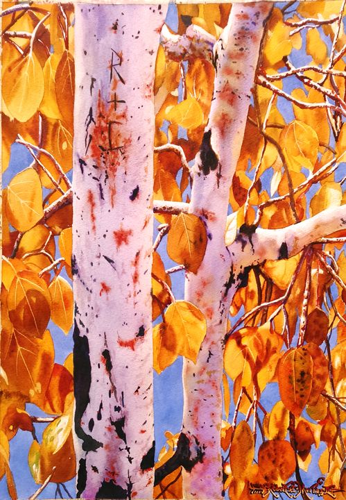 Autumn Gold-Aspens - Robert C. Murray II