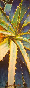 Aloe Vera-Savila - Robert C. Murray II