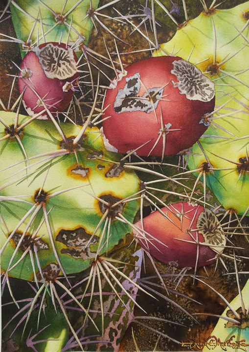 Tuneras Rojas-Red Prickley Pears - Robert C. Murray II