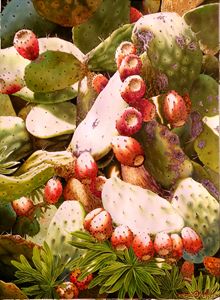 Dance of the Prickly Pears