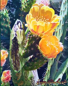Cactus Rose Flowering - Robert C. Murray II