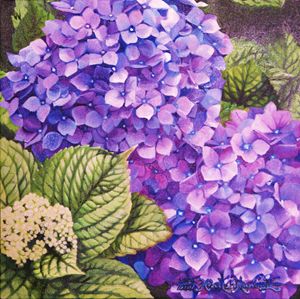 Hortensias - Robert C. Murray II