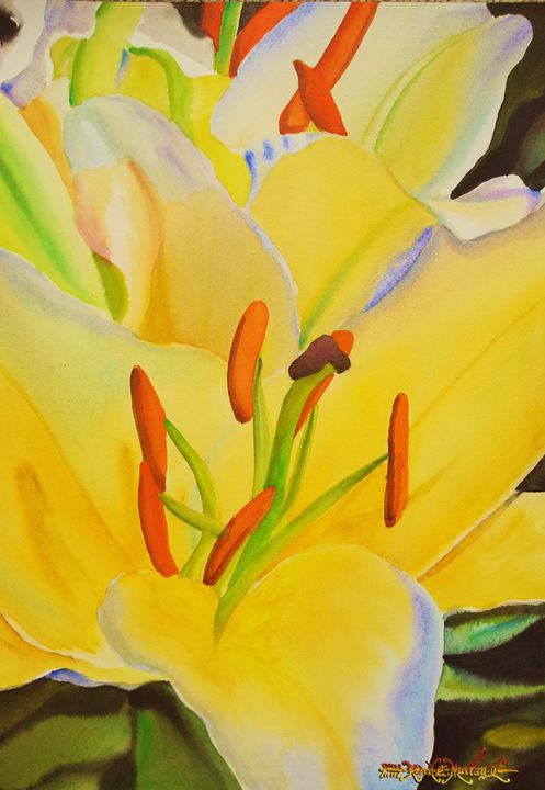Yellow Lillies-35 x 50 cm - Robert C. Murray II