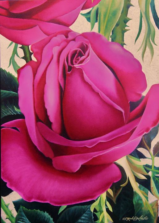 Fuchsia Roses - Robert C. Murray II