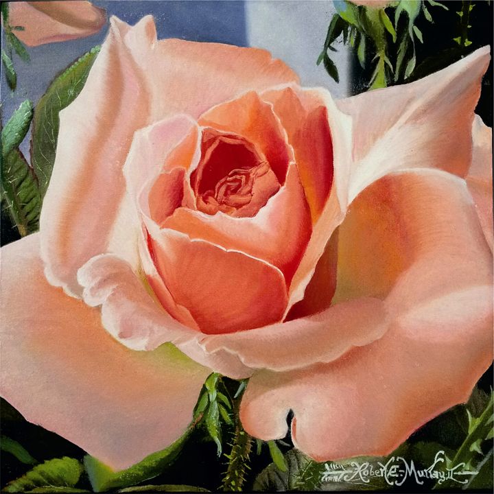 Blush Pink Rose-30 x 30 cm - Robert C. Murray II