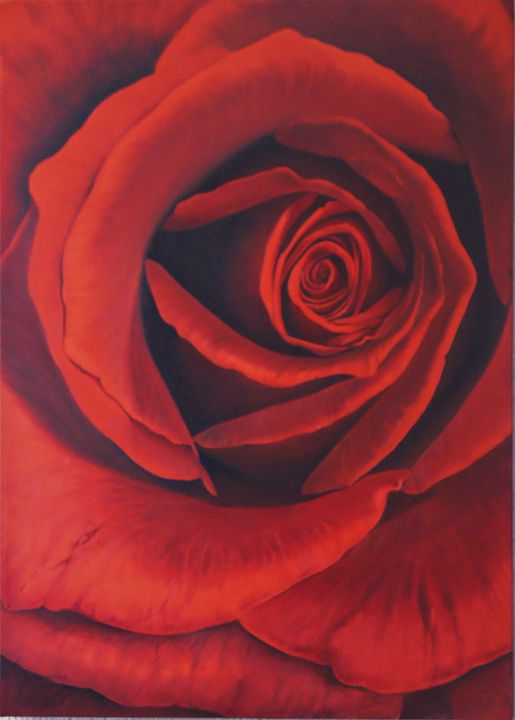 Red Rose - Robert C. Murray II