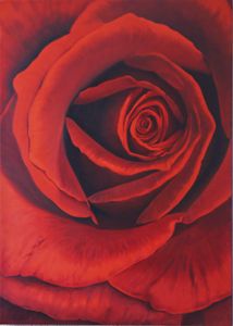 Red Rose - Robert C. Murray II