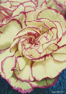 Carnations - Robert C. Murray II